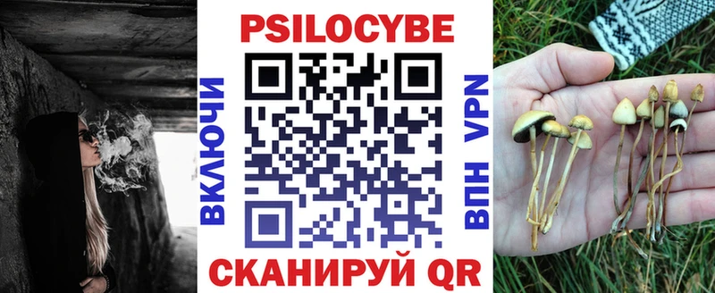 Псилоцибиновые грибы Psilocybine cubensis  где продают наркотики  Дубна 